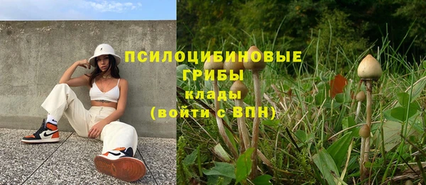 спиды Абинск