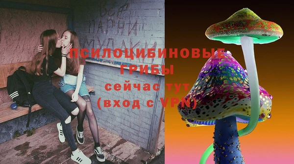круглые Абаза