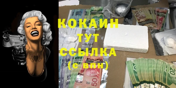 круглые Абаза