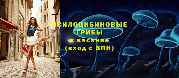 круглые Абаза