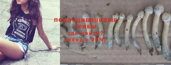 круглые Абаза