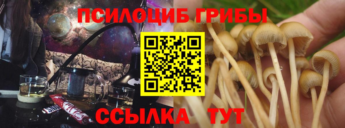 Краснодар  Псилоцибиновые грибы GOLDEN TEACHER  купить наркоту  Вход с VPN 